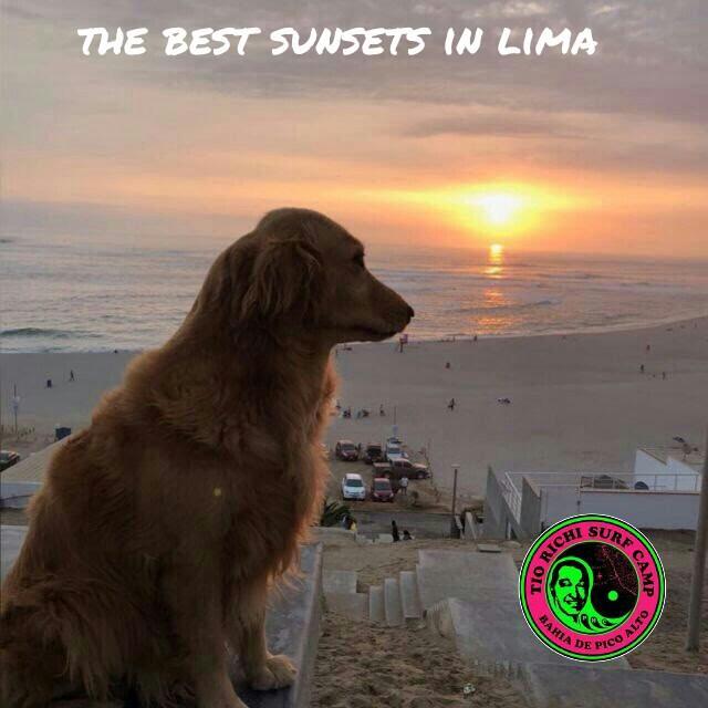 نزل بونتا هيرموسافي Tio Richi Surfcamp المظهر الخارجي الصورة